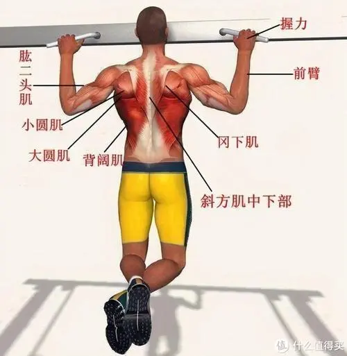 河湖缓冲带算绿化工程吗